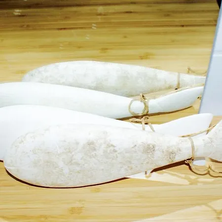 Laguna-beach-buesum Apartment *